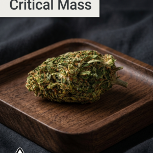Critical Mass