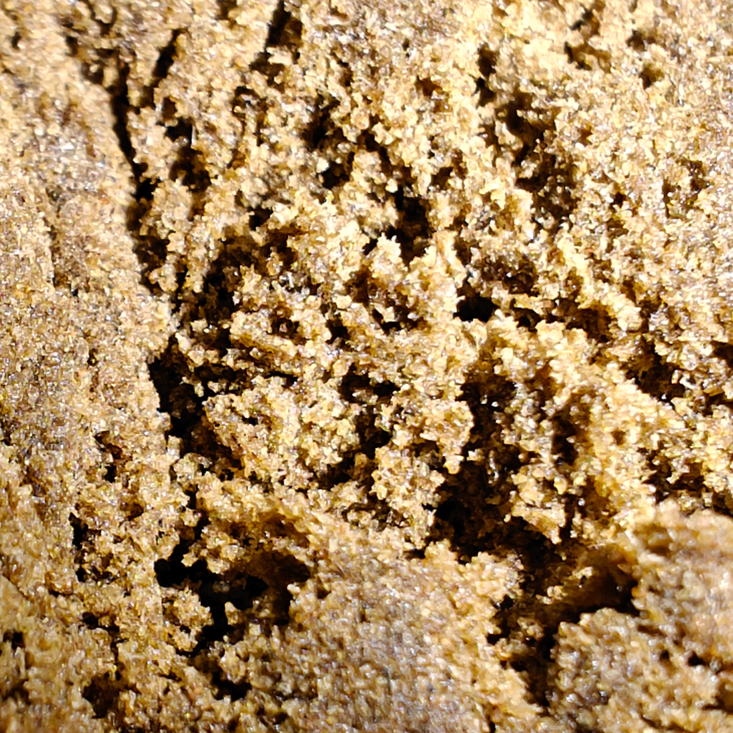 Mousseux – Image 2