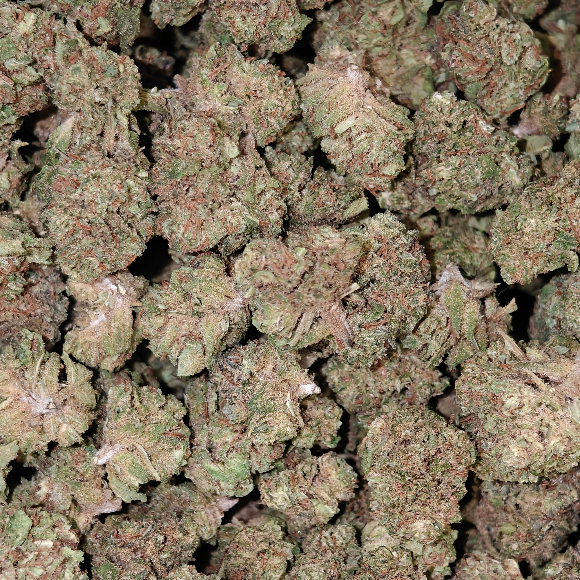 Silver Haze Mini – Image 2