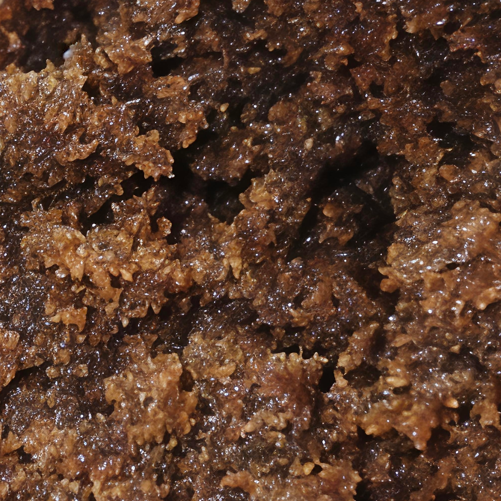 Libanais Rouge – Image 2