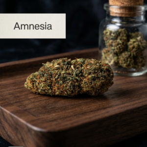 Amnesia
